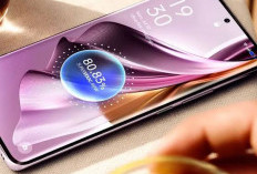 Wow! Punya Layar Besar, Rekomendasi HP Xiaomi Dengan Layar Super Lebar