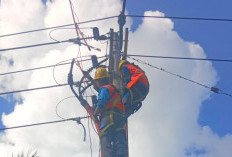 PLN ULP Lembayung Gerak Cepat Pulihkan Listrik di Lahat Pasca Diterjang Hujan Angin