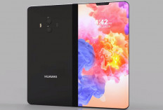 Wow, Nih 4 Rekomendasi HP dengan Layar Lebar, Bikin Puas Nonton Film