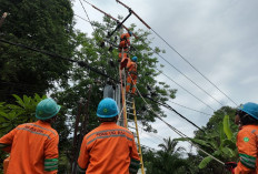 Sistem Kelistrikan Nasional Andal, PLN Berhasil Jaga Layanan Momen Pergantian Tahun