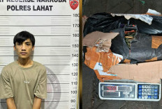 Satresnarkoba Polres Lahat Sita 4,65 Kg Ganja di Tanjung Sirih, Seorang Pria Diamankan