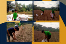 Lapas Tanjungpandan Finishing Bedengan Cabai, Dukung Pembinaan Kemandirian dan Ketahanan Pangan