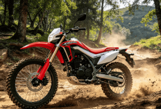 Honda CRF150L Terbaru Andalkan Suspensi Panjang dan Roda Trail, Siap Diajak Menjelajah Beragam Medan