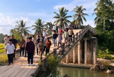Bupati Bursah Zarnubi Segerakan Perbaikan Jembatan di Desa Lubuk Atung