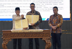 PLN-Kemendes PDT Teken MoU, Perkuat Pemanfaatan Listrik untuk Dongkrak Kemandirian Desa