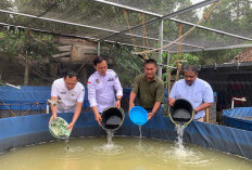 PT Sawit Mas Sejahtera, Anak Perusahaan Sinar Mas Luncurkan CSR Berkelanjutan untuk Penguatan Ekonomi Desa