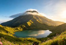 Kepingan Surga di Wonosobo! Menikmati Pesona Lautan Awan dari Puncak Gunung Bismo