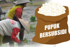 HET Pupuk Subsidi Turun, Petani Diminta Laporkan Pengecer Nakal
