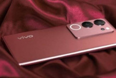 Wow! Ini 6 HP Vivo Harga 2 Jutaan Punya Kamera Bagus 2026, Jangan Remehkan Performanya Bosku!