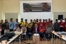 Kolaborasi PT MAS dan Dinas Perkebunan Lahat Gelar Pelatihan Budidaya Kopi Bagi Petani Kopi di Merapi Area