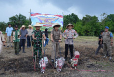 Sekda Lahat: Dukung Wujudkan Swasembada Jagung Nasional