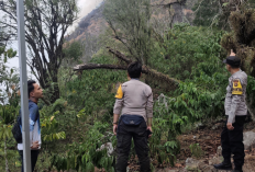 Karhutla Bukit Besak Mulai Terkendali, Polsek Merapi Barat Bersama TNI dan Warga Terus Lakukan Pemadaman