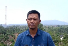 Kades Lesung Batu Sulap Lahan Terbengkalai 5,5 Hektare Jadi Kawasan Kebun Buah dan Perikanan