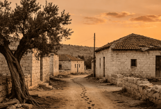 Tragedi Nakba 1948: Peristiwa Eksodus Warga Palestina yang Mengubah Sejarah Selamanya