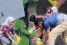 Lapas Kelas IIA Lahat Kembangkan Pembinaan Kemandirian, Warga Binaan Terlibat Langsung Perawatan Tanaman Melon